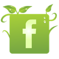 logo fb