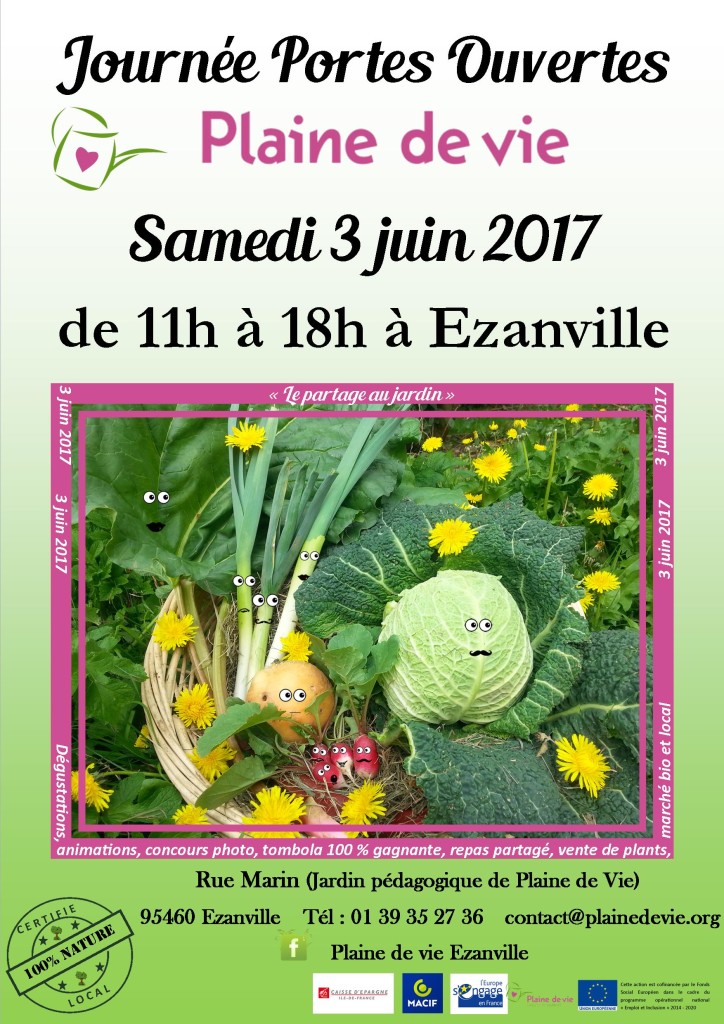 flyer 2017