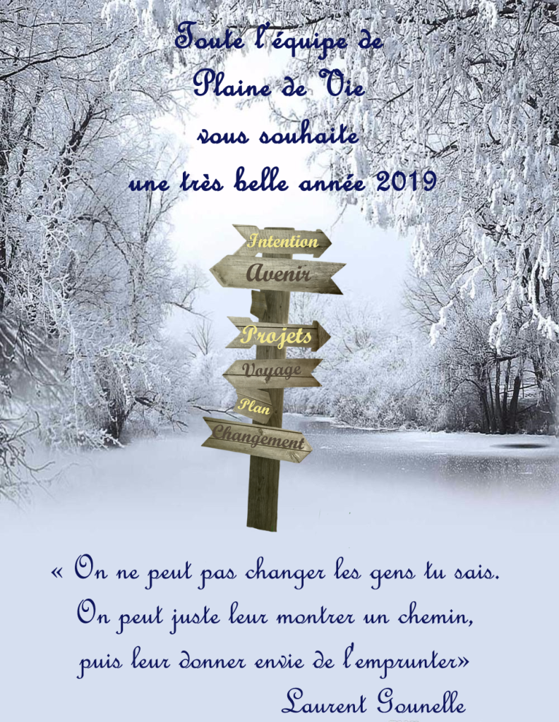 voeux 2019