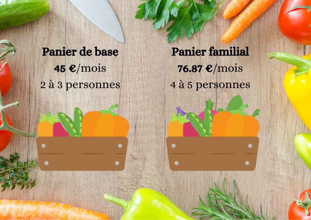 Plaquette légumes (2)