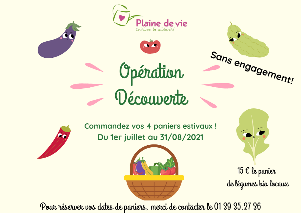 paniers découverte